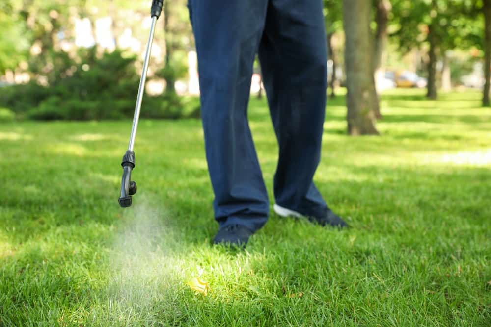 Lawn Care In Round Rock Pflugerville, Round Rock Lawn Care Service